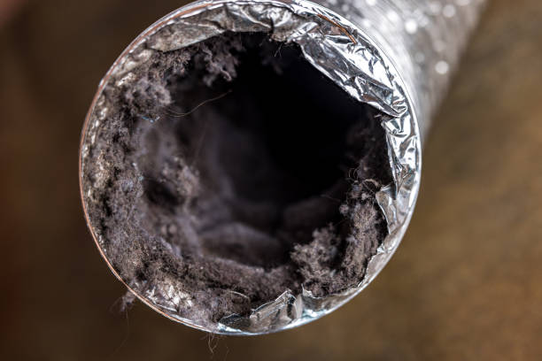 Best Dryer Vent Cleaning Services  in Lakesite, TN