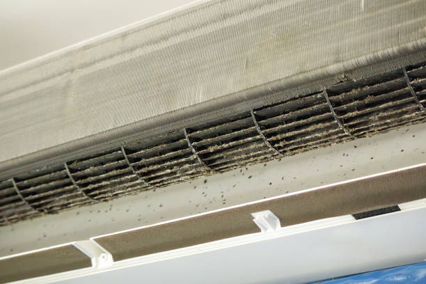 Best Affordable Duct Cleaning Services  in Lakesite, TN